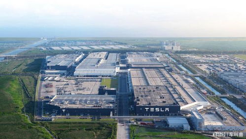 特斯拉逆勢漲價(jià) 與行業(yè)降價(jià)潮分道揚(yáng)鑣的深層邏輯